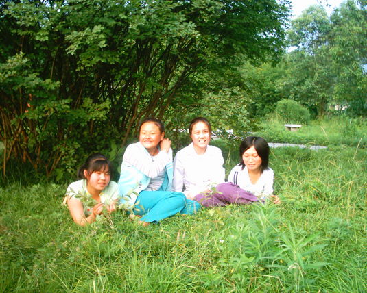 2006  (98)